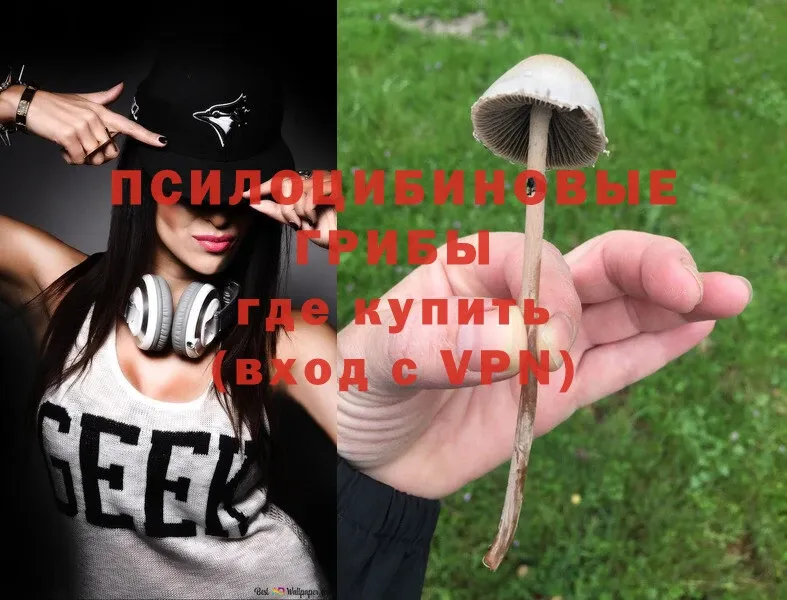 Псилоцибиновые грибы Cubensis  МЕГА рабочий сайт  Козьмодемьянск 